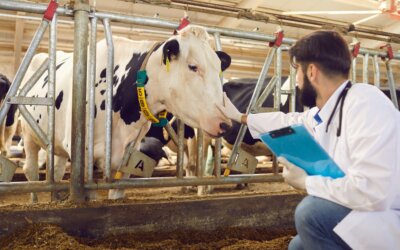 牛の感染症を徹底解説！畜産農家が取るべき予防策は？